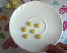 Jak se zbavit domácích mravenců