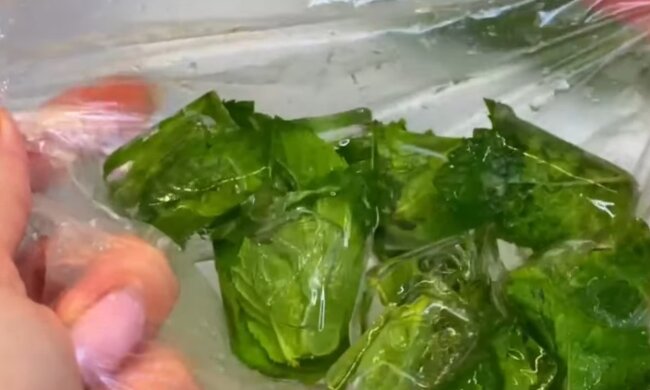 Jak zmrazit mátu

Můžete připravit celé listy a vršky zelí nebo vyrobit ochucený led. Zmrazená máta si může uchovat svou chuť až dva měsíce